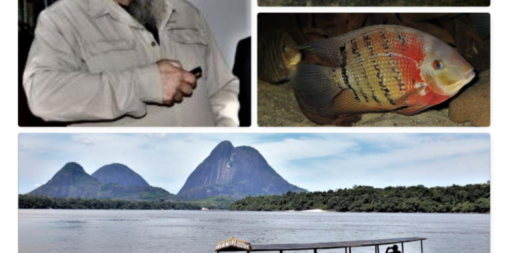 Auf den Spuren kolumbianischer Zierfischfänger