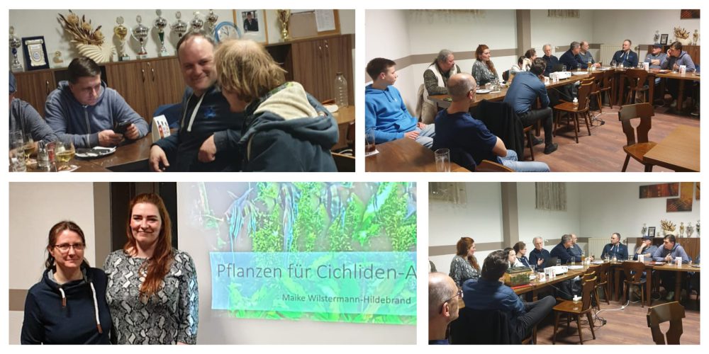 Review: Regionaltreffen April 2023