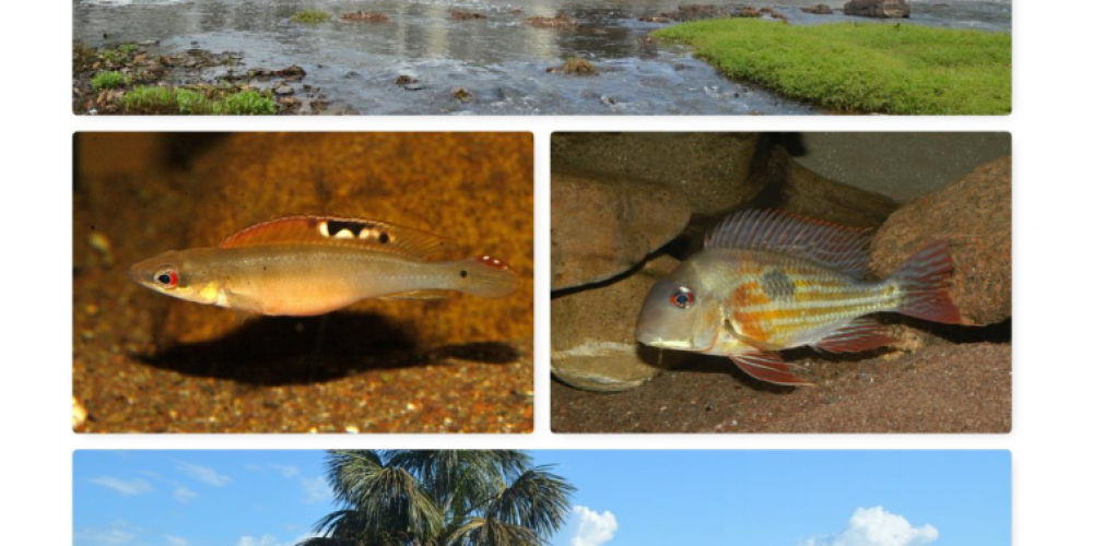 1400 Kilometer Transamazonica: zum Fischfang im Rio Madeira